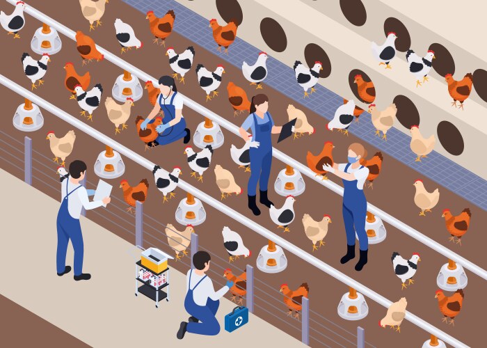 العمل بروح الفريق الواحد